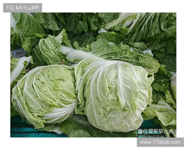 探索白菜网：新鲜蔬菜在线购买的最佳选择
