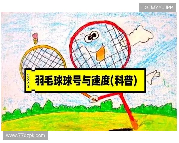 专业比赛用羽毛球的选择与推荐指南